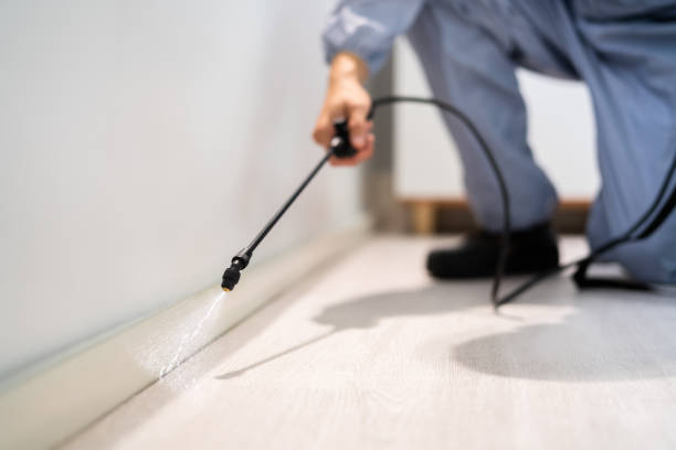 Professional exterminator conducting IPM assessment in Embreeville